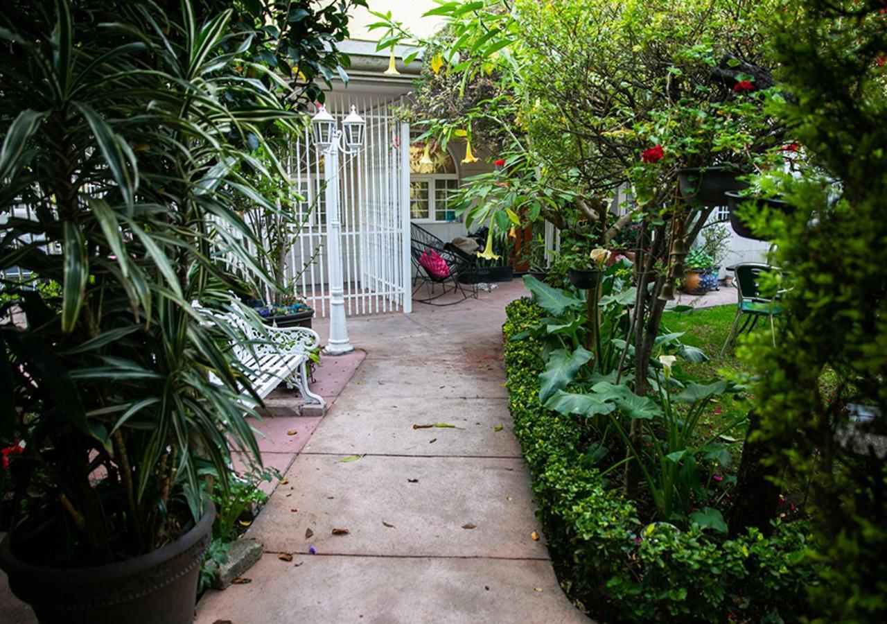 לינה וארוחת בוקר מקסיקו סיטי Casa San Pedro מראה חיצוני תמונה